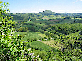 Region Fulda entdecken – Ausflugsfahrten